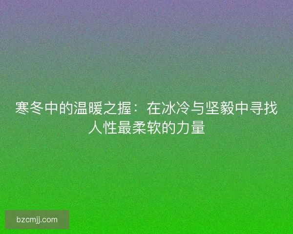 寒冬中的温暖之握：在冰冷与坚毅中寻找人性最柔软的力量