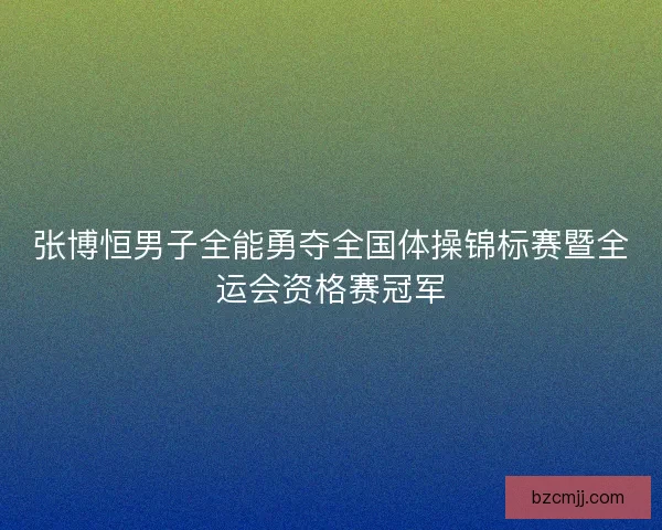 张博恒男子全能勇夺全国体操锦标赛暨全运会资格赛冠军
