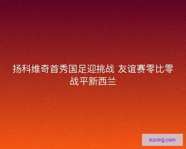 扬科维奇首秀国足迎挑战 友谊赛零比零战平新西兰