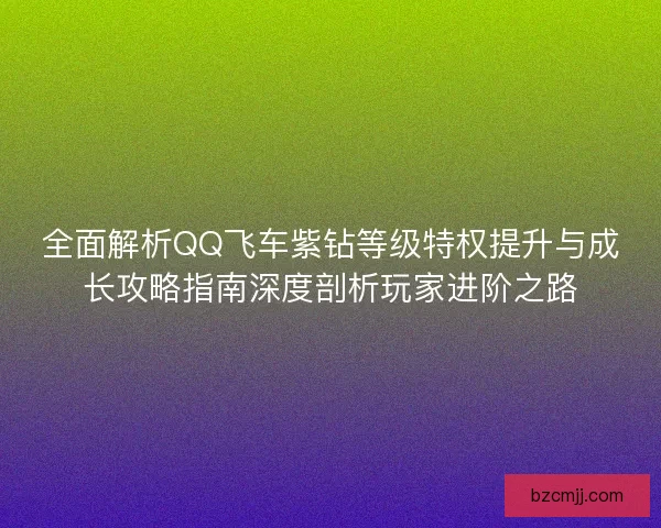 全面解析QQ飞车紫钻等级特权提升与成长攻略指南深度剖析玩家进阶之路