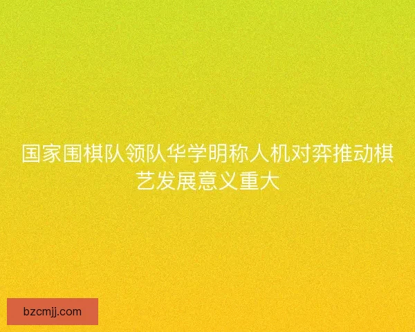 国家围棋队领队华学明称人机对弈推动棋艺发展意义重大