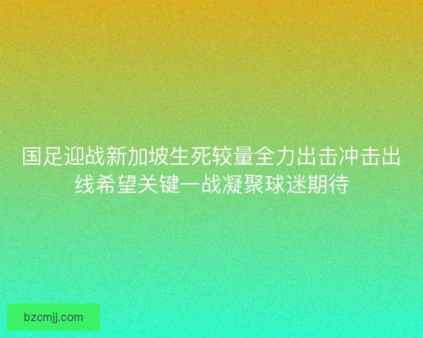 国足迎战新加坡生死较量全力出击冲击出线希望关键一战凝聚球迷期待