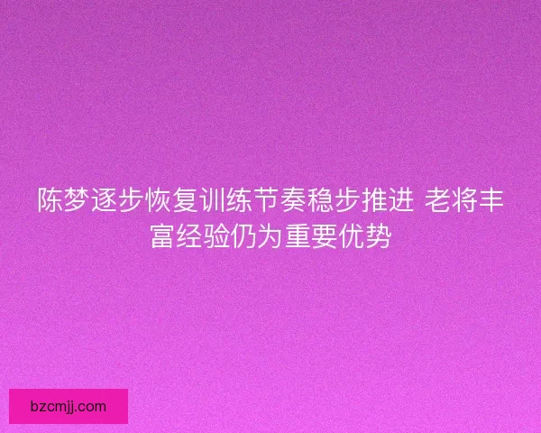 陈梦逐步恢复训练节奏稳步推进 老将丰富经验仍为重要优势